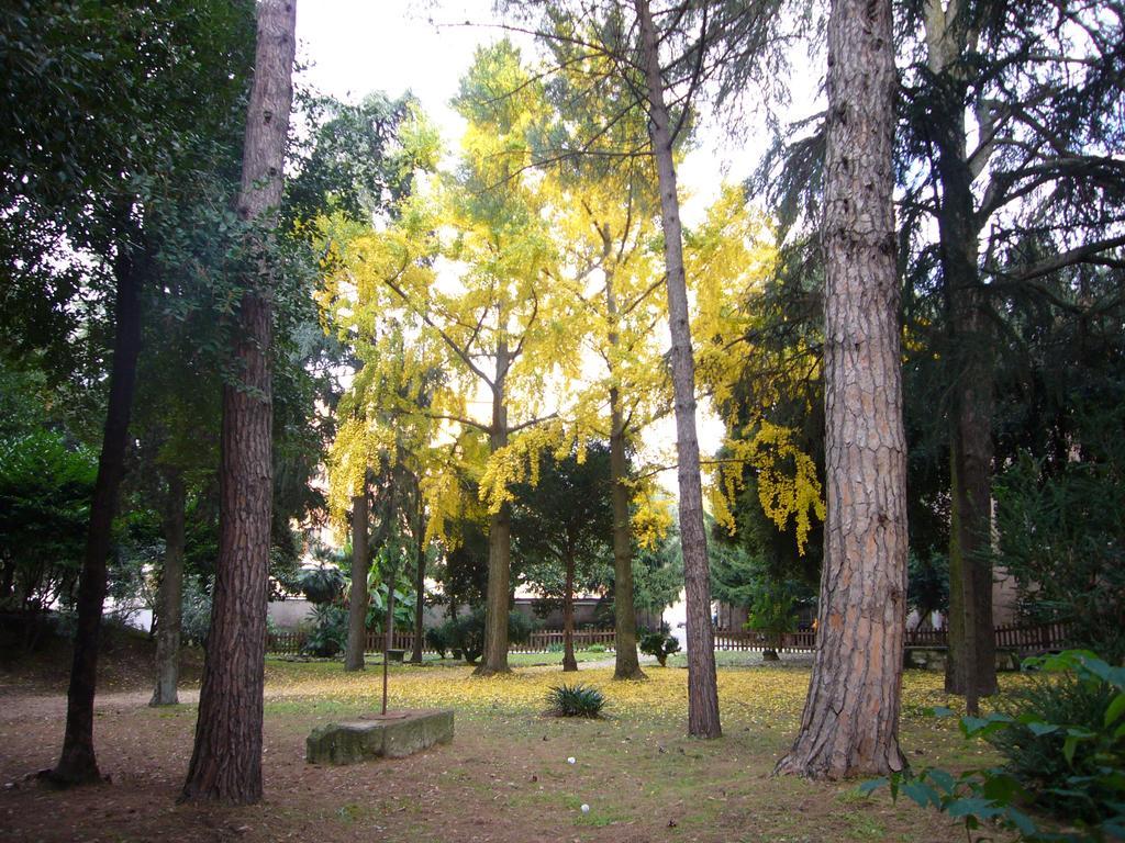 Villa Altieri Albano Laziale Ngoại thất bức ảnh