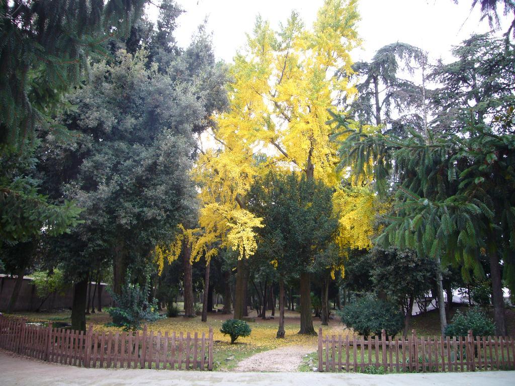 Villa Altieri Albano Laziale Ngoại thất bức ảnh