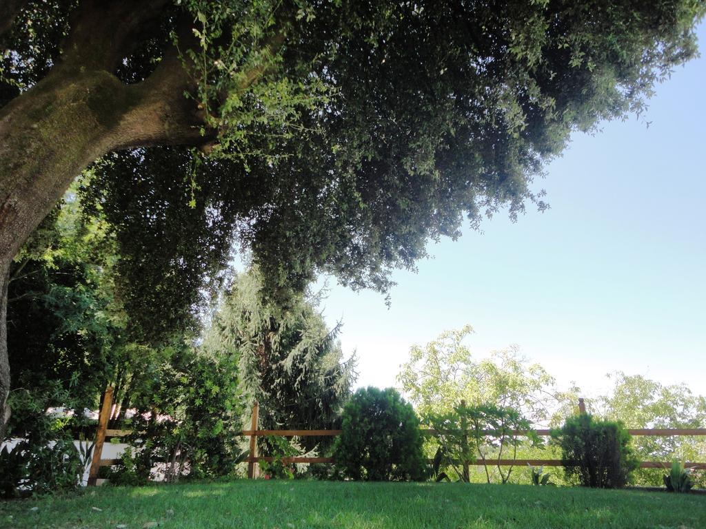 Villa Altieri Albano Laziale Ngoại thất bức ảnh